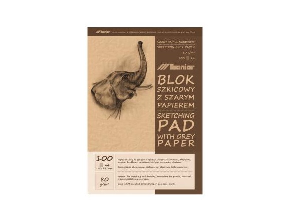 Blok Szkicowy Leniar Szaro-Brązowy Papier A4 80g 100ark.