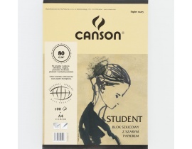 Blok Szkicowy Canson Szary Papier A4 80g