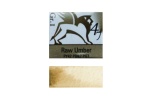 47 Raw Umber