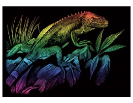 Miedzioryt Wydrapywabka A5 Iguana